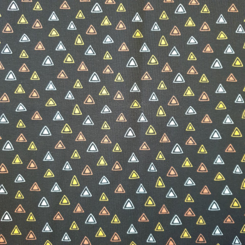 Triangles - Polar Bear Coord